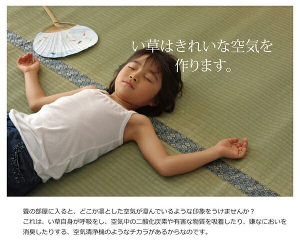 防臭 調湿機能付き