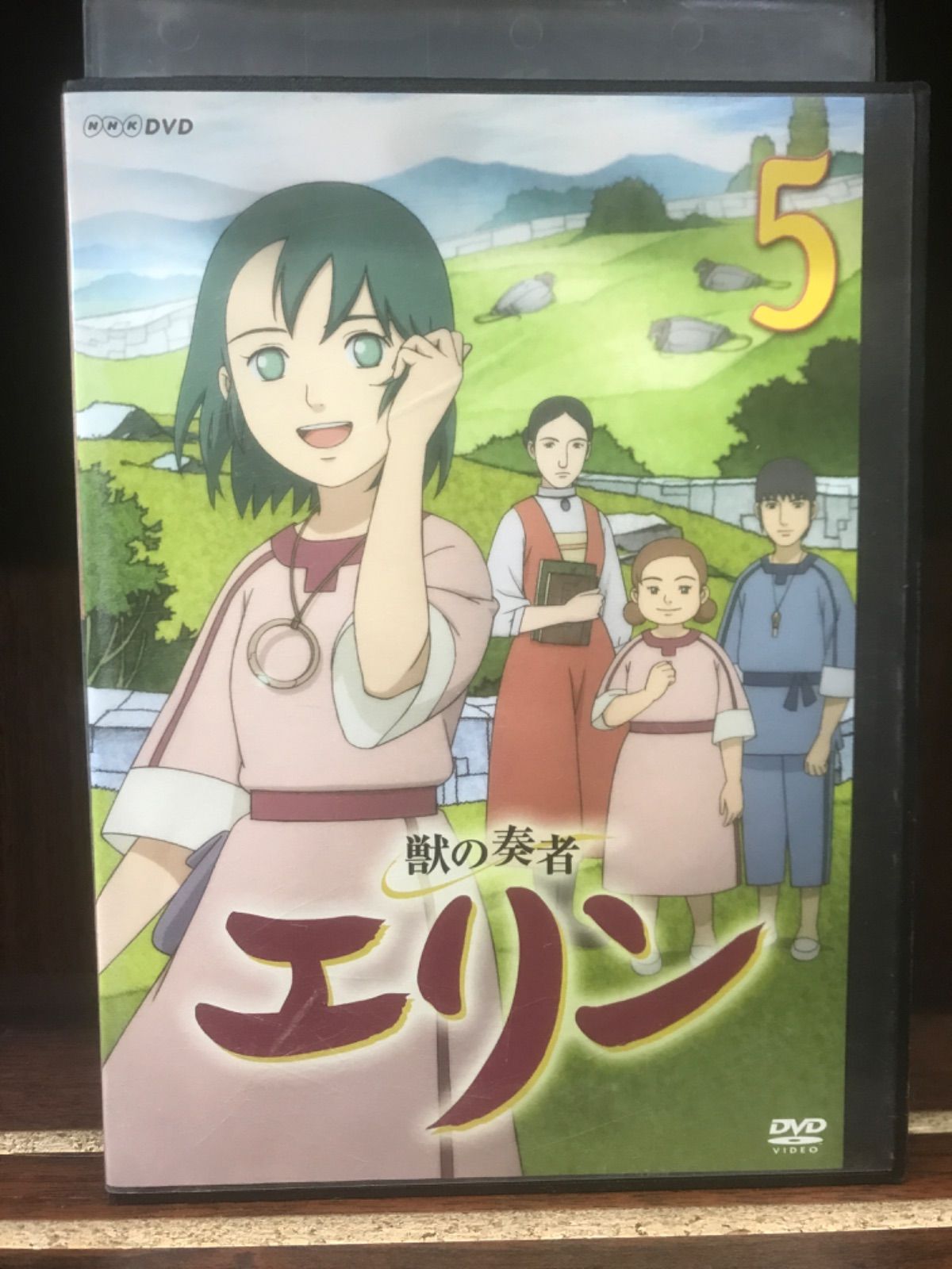 DVD 獣の奏者エリン 12巻 全巻 ケース付き レンタル ケース付 獣の奏者 エリン DVD 全12巻 全巻セット｜Yahoo!フリマ