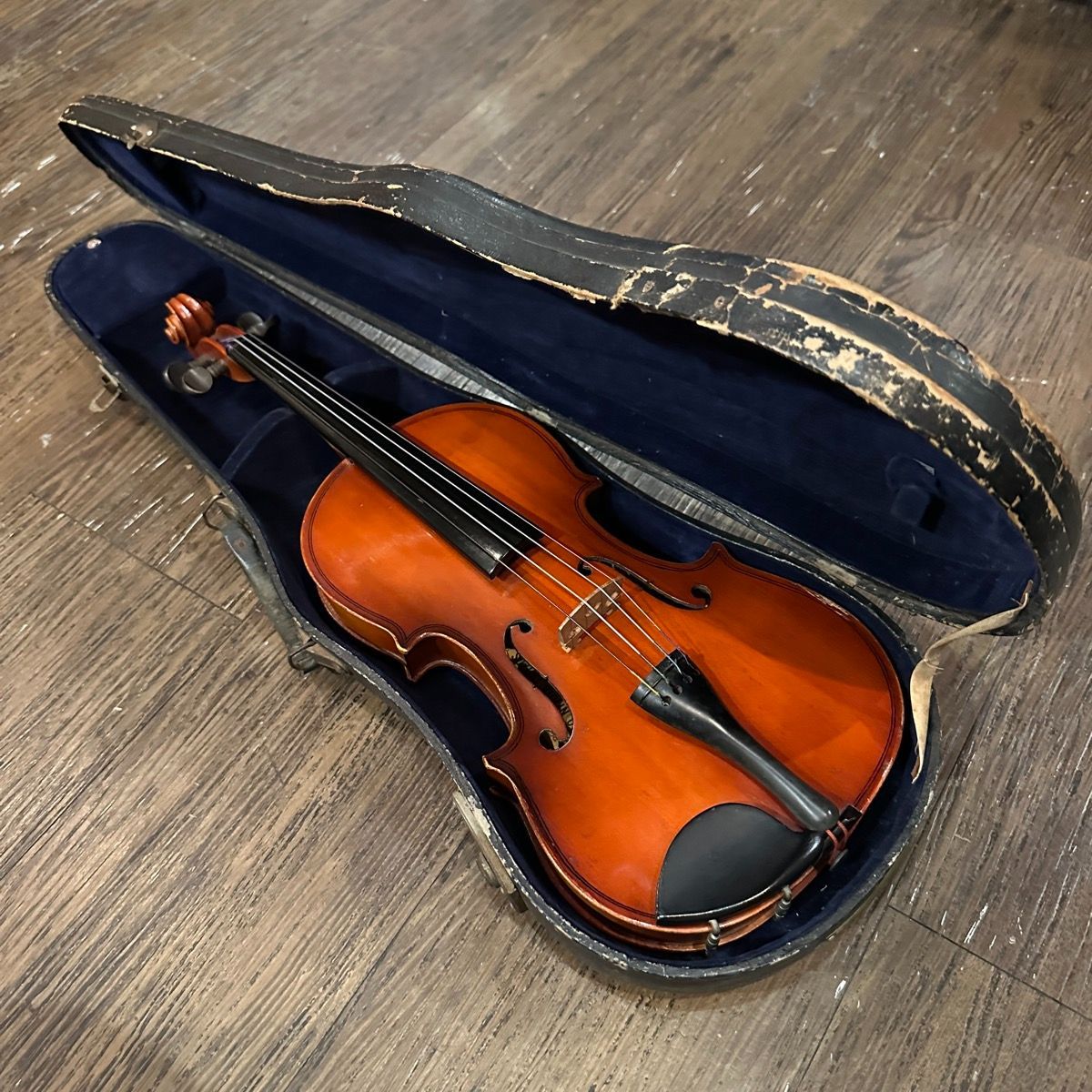 鈴木バイオリン　1/2 SUZUKI VIOLIN (鈴木バイオリン) バイオリン No.280 サイズ 1/2