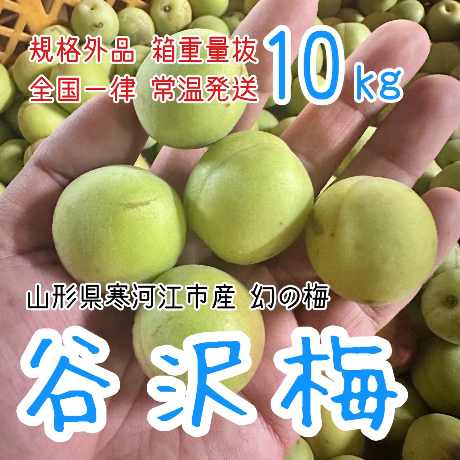 02.常温便【幻の梅】山形県寒河江市産 谷沢梅 箱抜き 10kg 中熟 青梅 常温発送10kg 規格外【幻の梅】山形県寒河江市産 谷沢梅 箱抜き