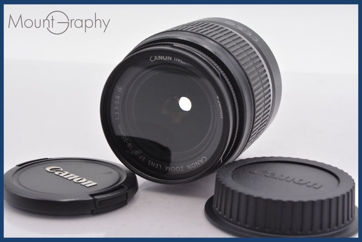 夏竹清翠・水墨画（書家落款／本紙98×34）