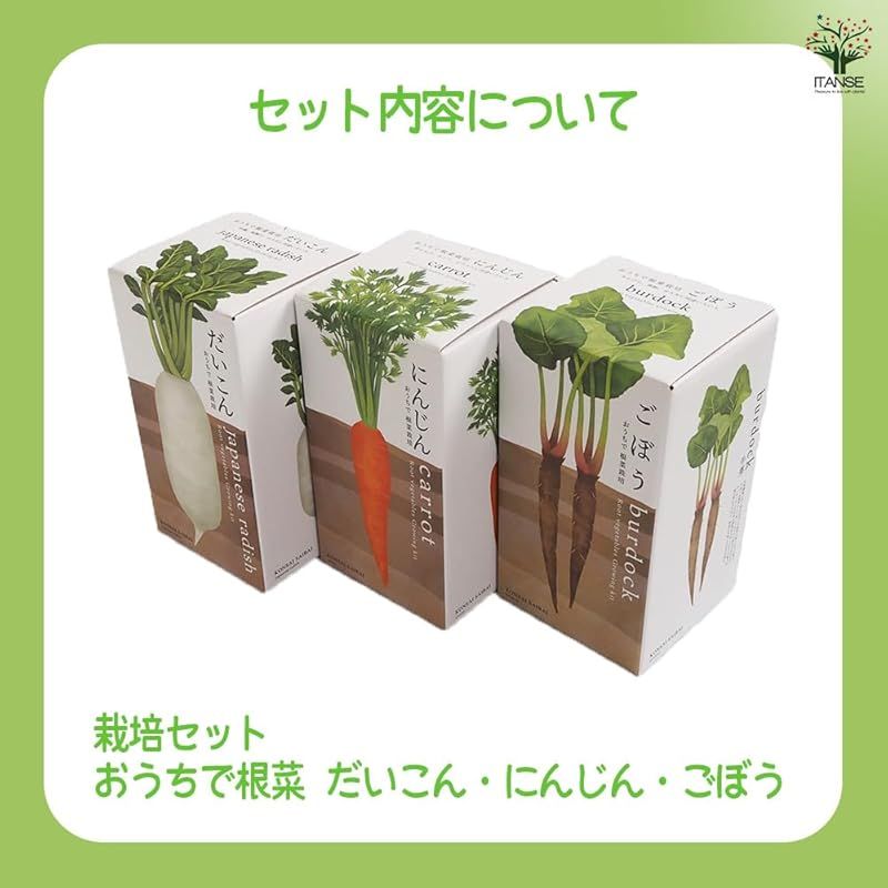 土がたっぷりと入る深鉢なら