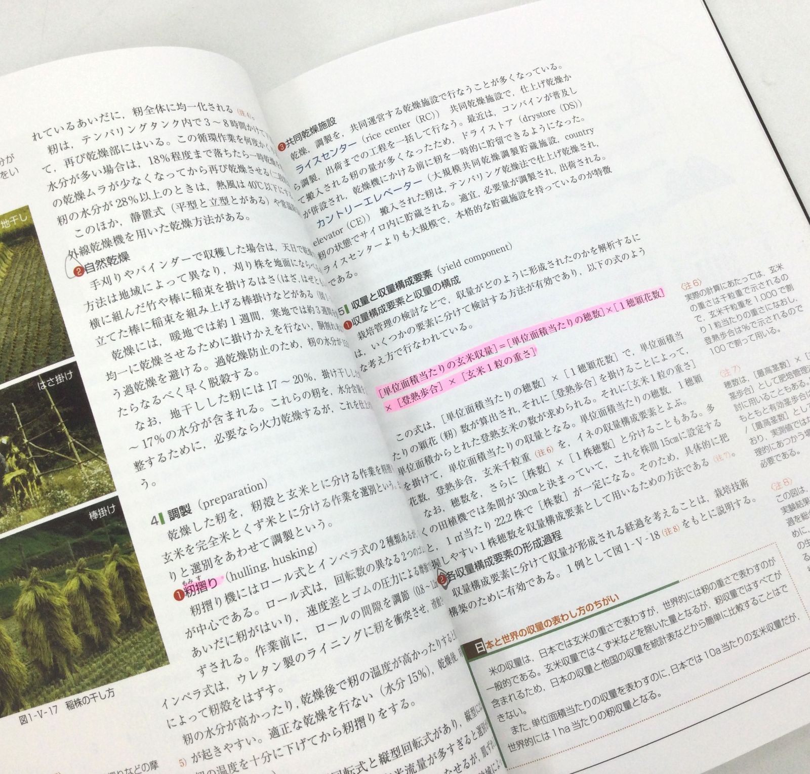 B1046】作物学の基礎I 食用作物 (農学基礎シリーズ)書込み、マーカー