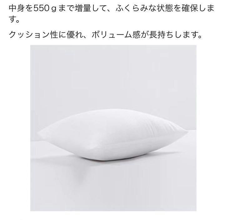 ソファ用クッション中身(圧縮) ホテル仕様 丸洗い 無地 45x45cm 2個