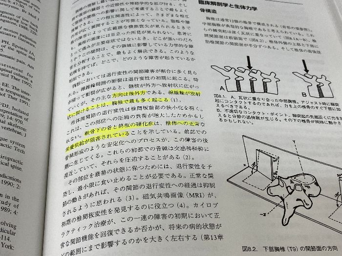 クリニカルカイロプラクティック: 特定的なバイオメカニカル
