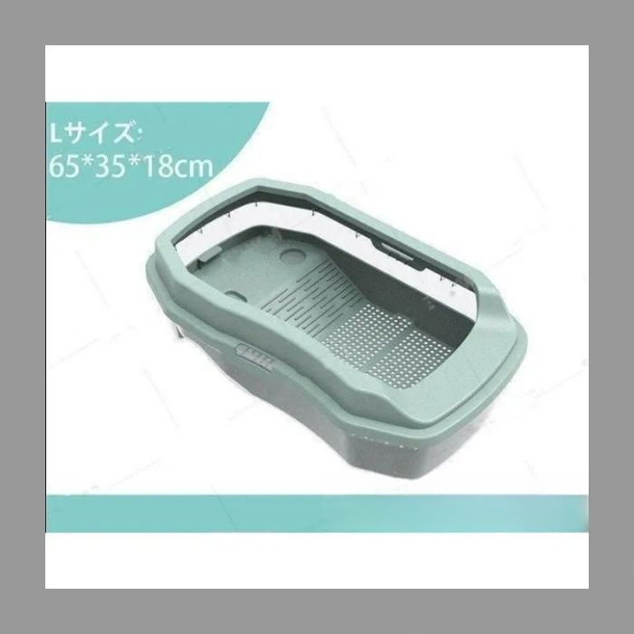 爬虫類 ボックス