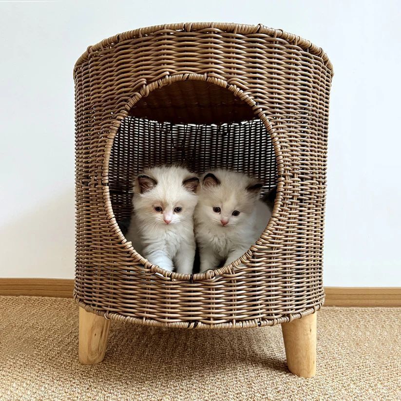 ラタン調猫ベッド 猫ハウス 円筒型 おしゃれ ペットベッド 三脚デザイン 通気性 夏用クール 猫用家具 コットンパッド付 ca610