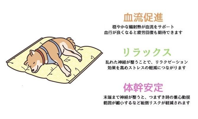 犬用ベッドマット 62cm✕52cm マットPro スパオール 送料無料 G0050P あーるけーるワン公式