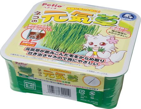 【同梱不可】【24個セット】ペティオ ペティオネコの元気草