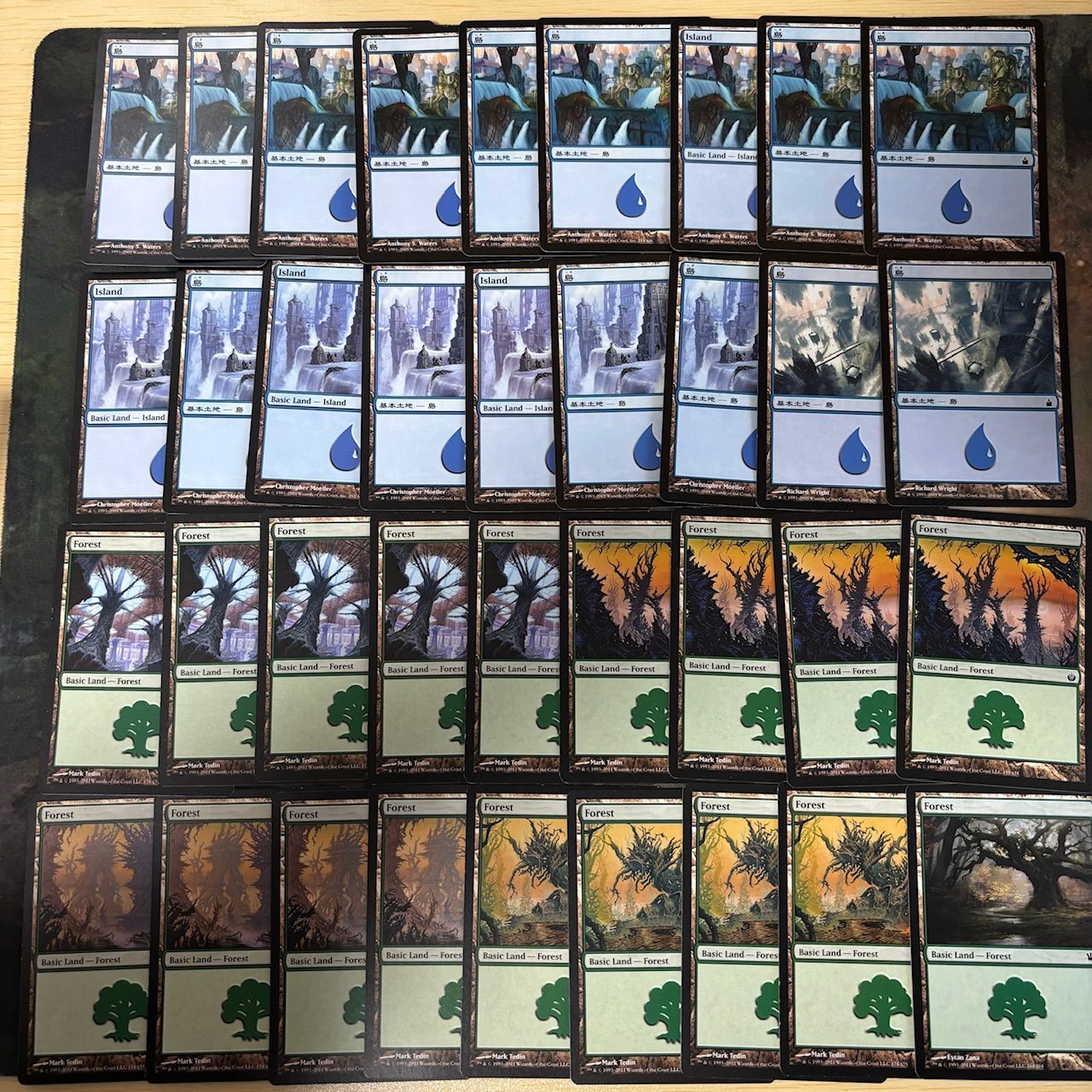 MTG まとめ売り フォイル基本土地+EDHデッキパーツ MTG まとめ売り フォイル基本土地+EDHデッキパーツ MTG まとめ売り