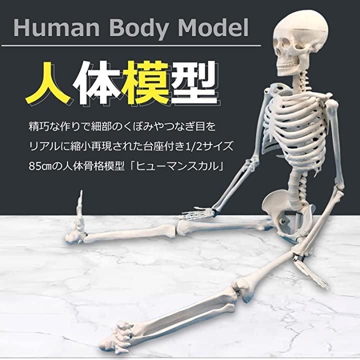 全身 直立型