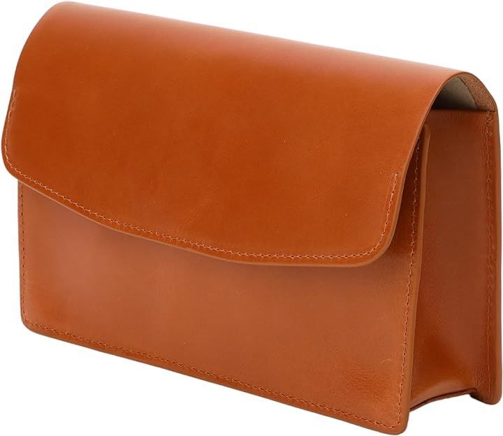 果物の図版 アンティーク 1907年 ドイツ マイヤー百科事典 リトグラフ