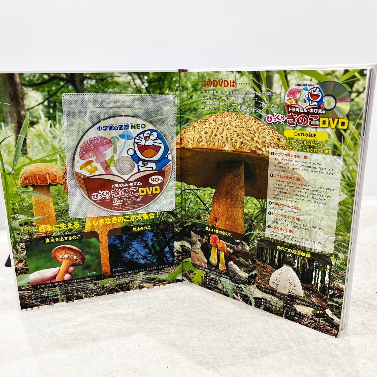 小学館の図鑑 NEO 17冊 （DVD付きあり） 計17冊セット】小学館の図鑑