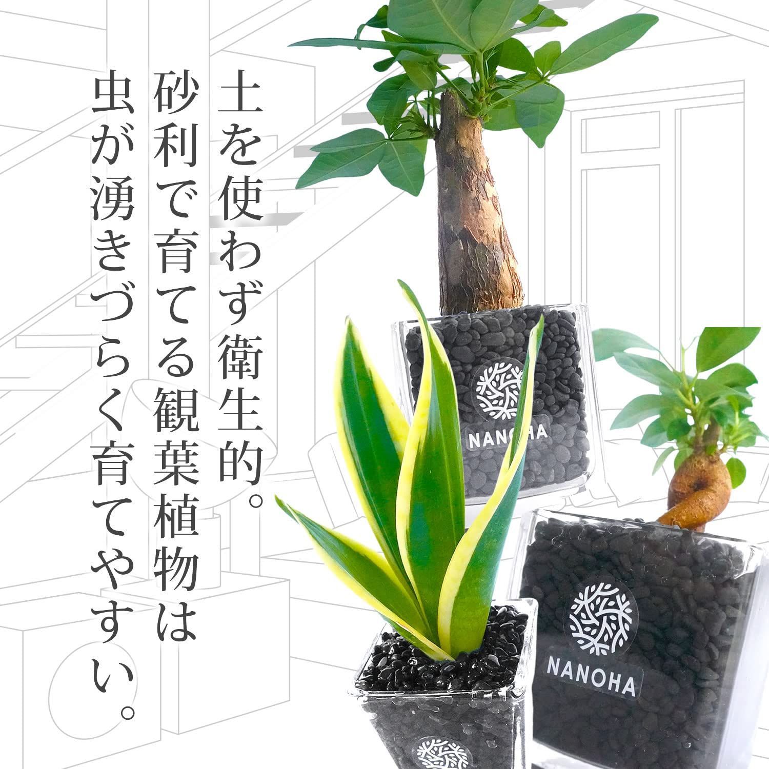 お洒落 清潔感