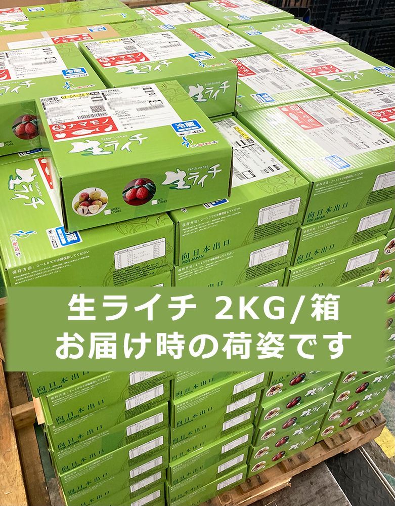 生ライチ 約4kg 箱 もちごめライチ（ノーマイチ糯米）150玉前後 中国産