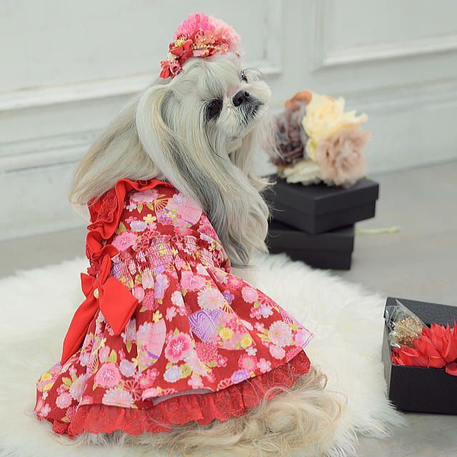 犬服 ドッグウェア キャンナナ 花柄和ロリワンピース きゃんナナ