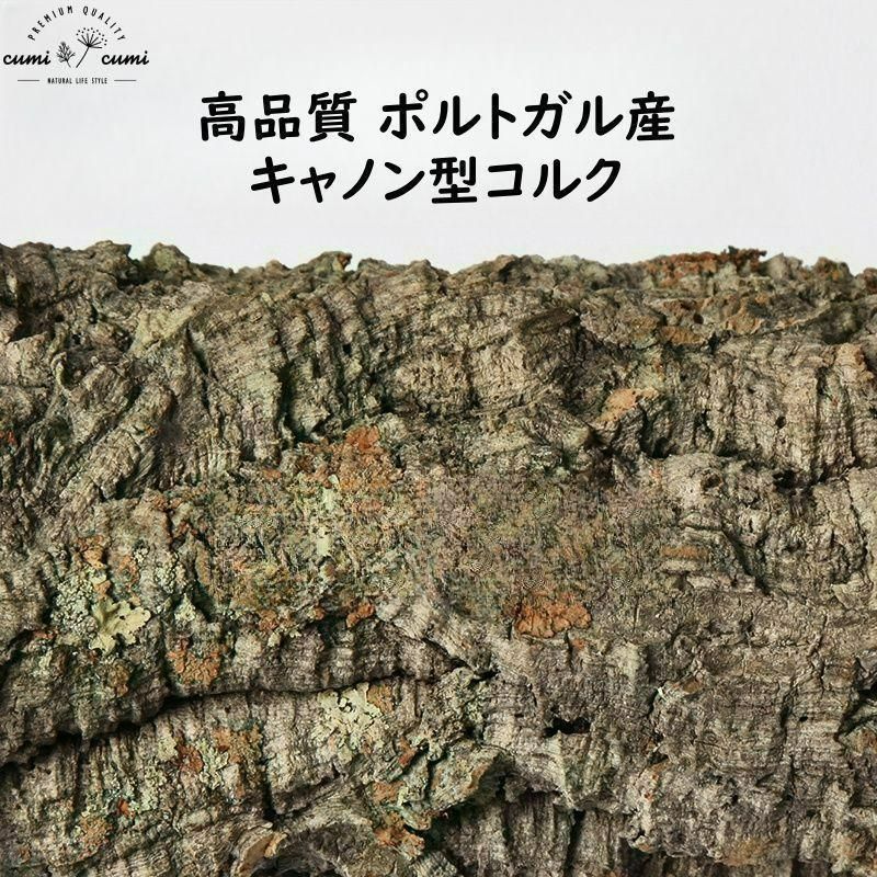 250819 ポルトガル産 キャノンコルク コルク樹皮 コルク板 バージン