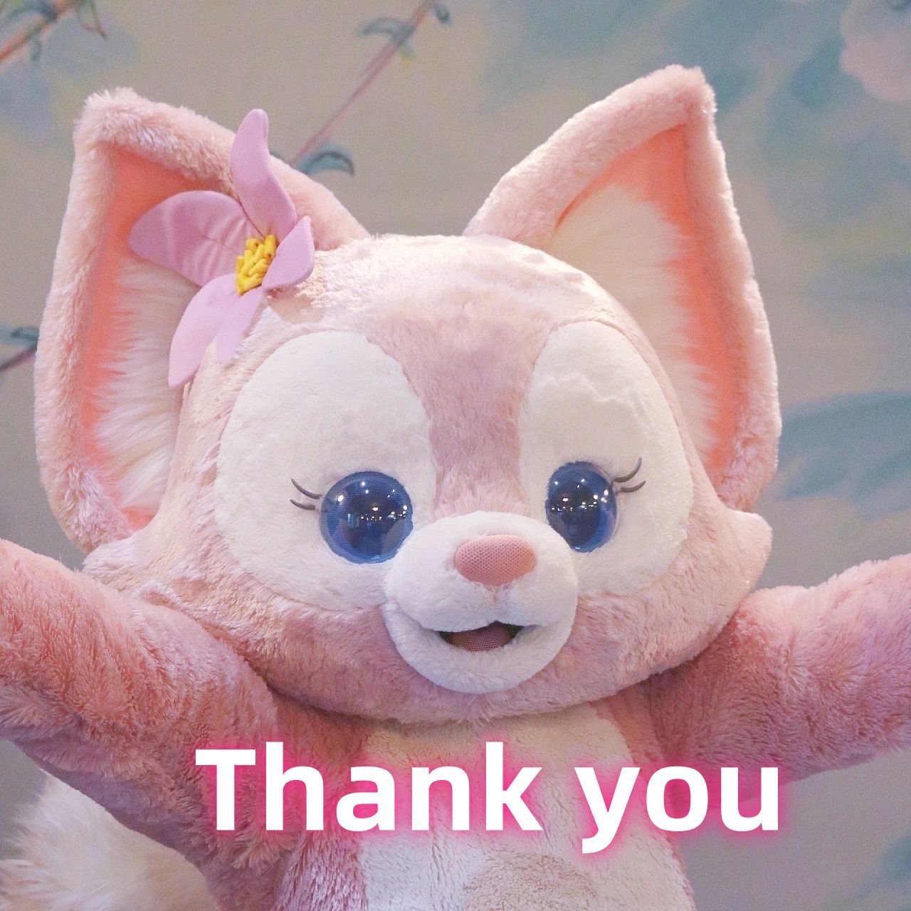 ゆき☆ワンちゃんネコちゃんシリーズ Amazon.co.jp: まるで親子のような犬と猫 今日も仲良し！ ユキ