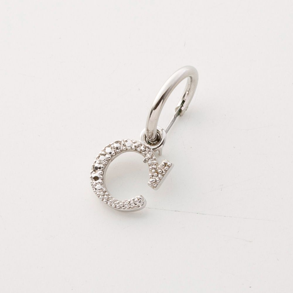 Dior フープピアス シルバー Christian Dior ロゴラインストーン2WAYフープピアス シルバー