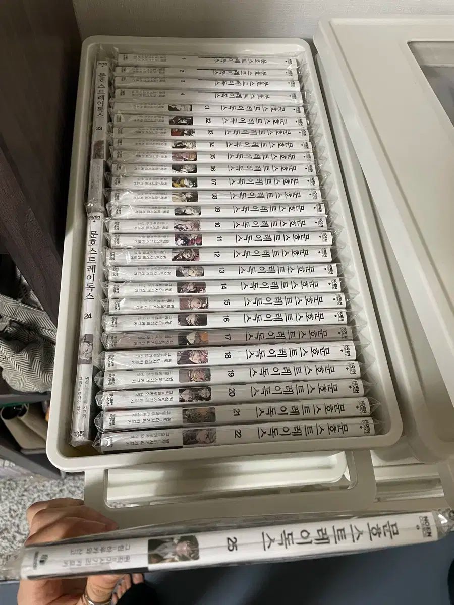 文豪 文豪ストレイドッグス 1 ー 25 ビースト 4