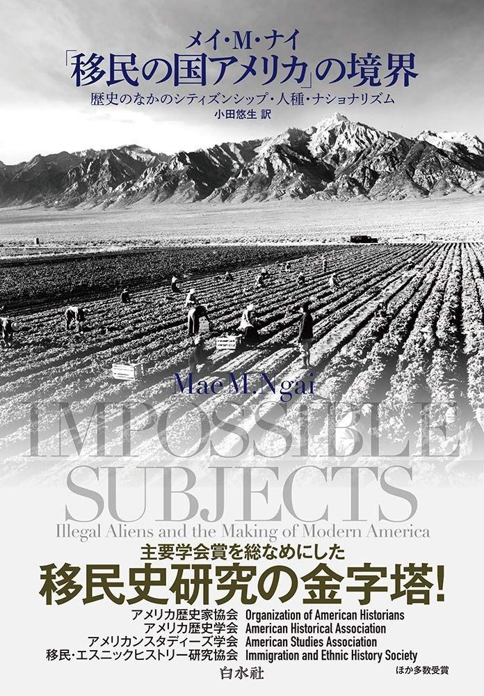 竹竿　瑞雲10.5尺硬式藤握り 竹竿 瑞雲10.5尺硬式藤握り （今も息づく、百年の技。伝統的工芸