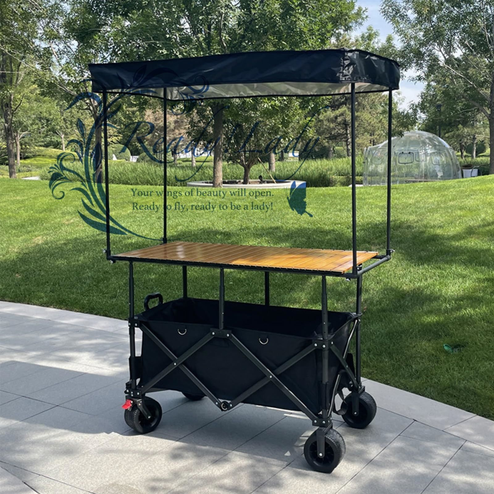 GLAY AMEXギターバッグ Journeyman GLAY 30th Amex アメックス