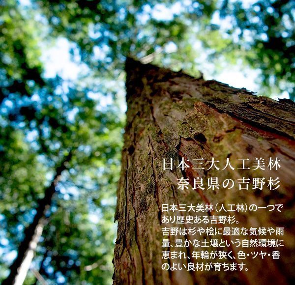 丸太