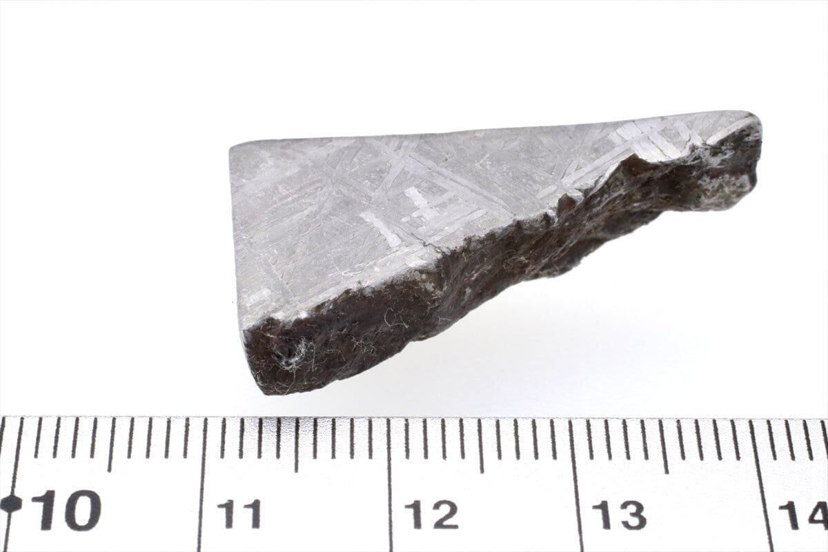 ムオニオナルスタ隕石 標本 ムオニオナルスタ 隕石 12.6g オクタへドライト 鉄隕石 標本