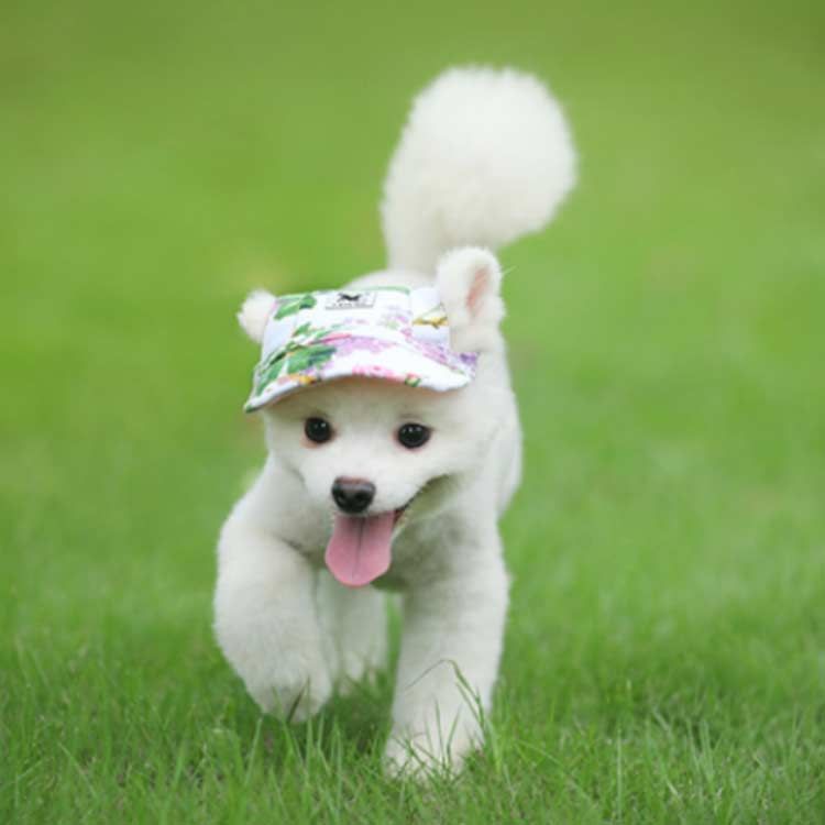 犬の帽子 犬服 被り物 犬の服 帽子 わんちゃん ハット 夏服 夏用 犬用帽子 暑さ対策 犬 服 ペット 服 犬 帽子 ペット用 犬用 帽子 熱中症対策 夏バテ 日射病 防止 予防 日除け 日よけ 可#xsp2262