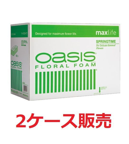 オアシス フローラルフォーム スプリングタイム K-0100 2ケース販売