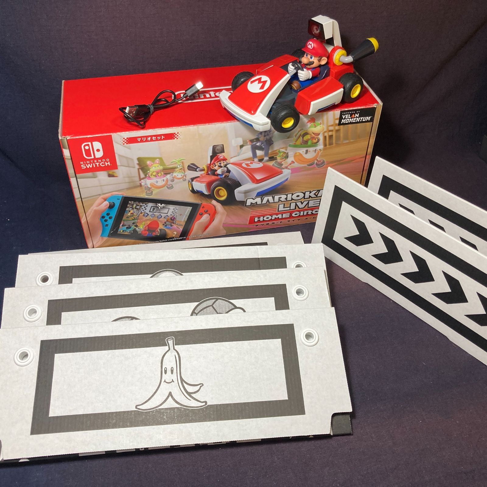 Nintendo Switch マリオカート ライブ ホームサーキット