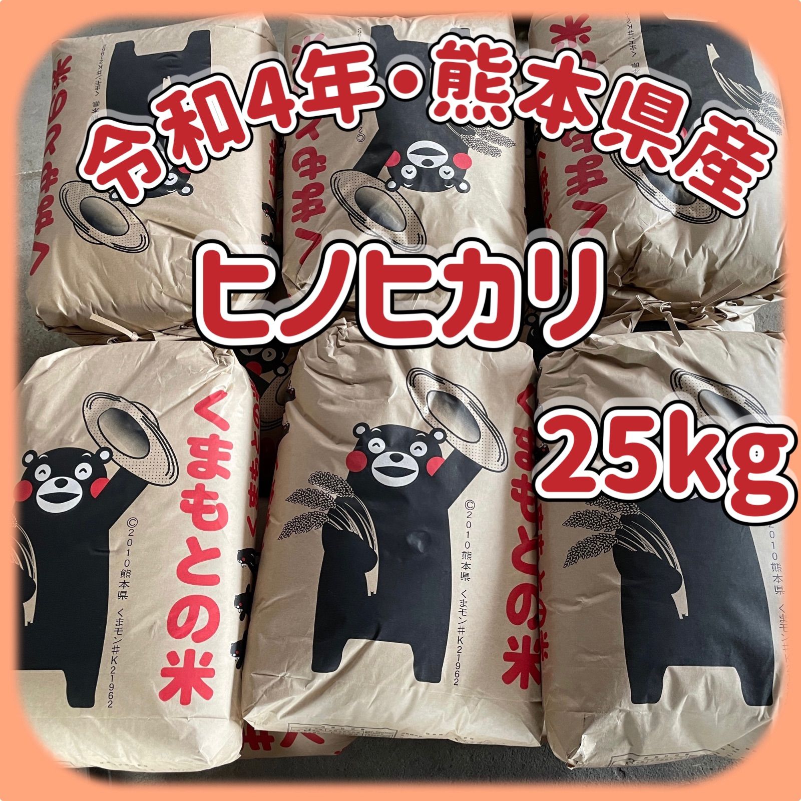 新米　森のくまさん　20kg  令和4年熊本県産 熊本県八代産 令和5年新米 森のくまさん 20kg