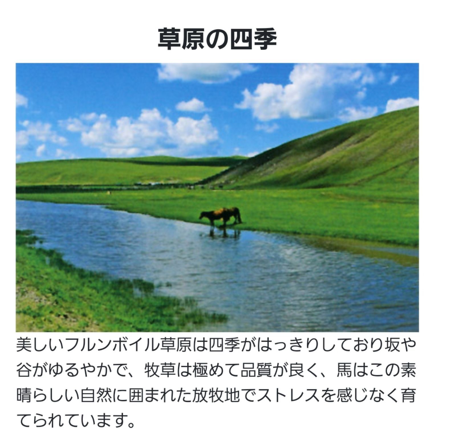 馬刺し　馬レバー　レバー刺　馬レバー刺 50g前後×5袋　合計250g以上　送料無料