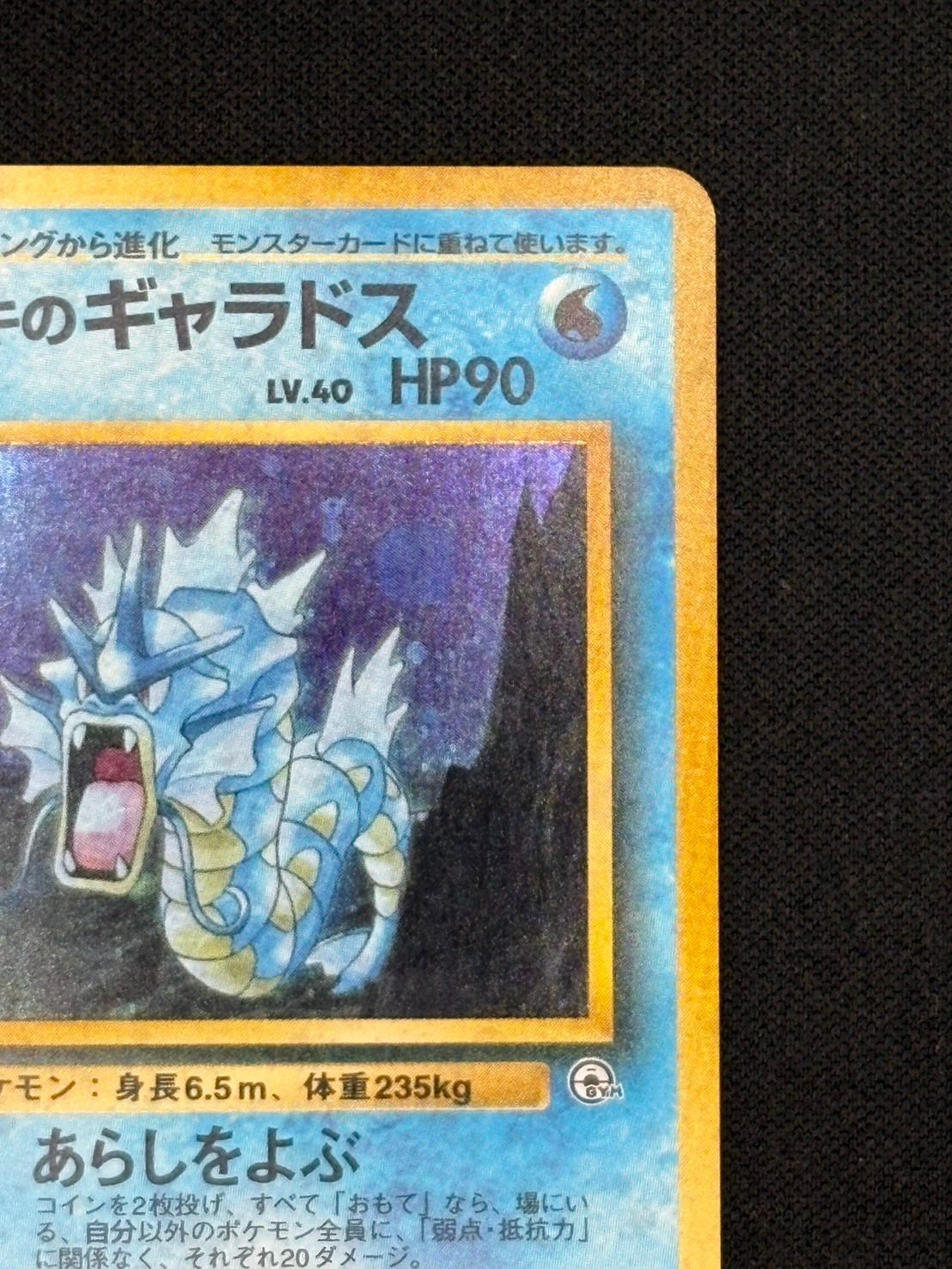 サカキのギャラドス LV.40 (柏店在庫) - メルカリ