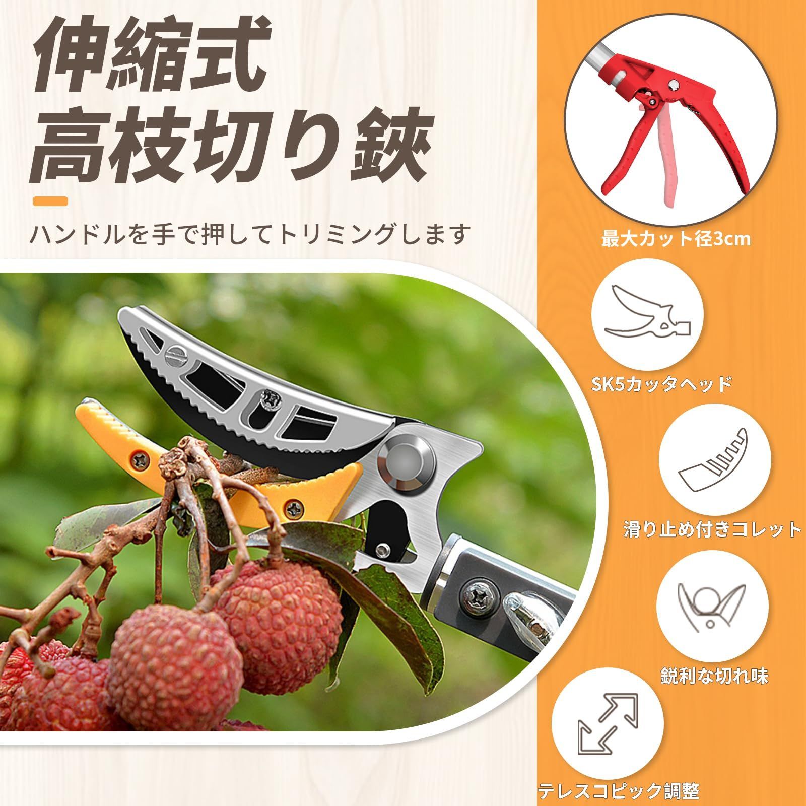 枝切り 採果