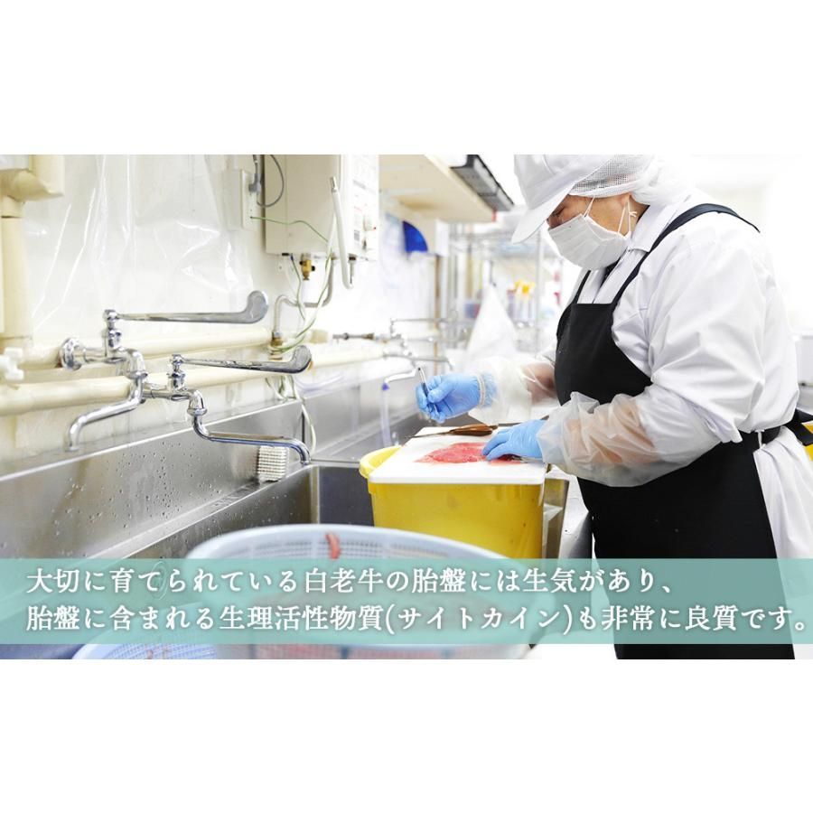 生プラセンタ 2本セット アヨロのピリカ 1本30ml 保湿 ターンオーバー