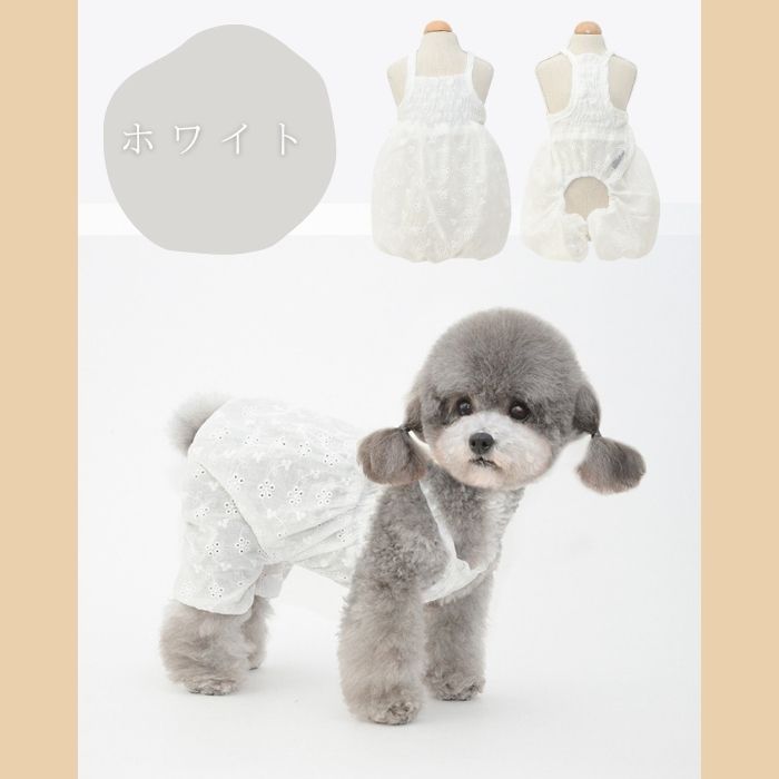 ブルー】犬 犬服 かぼちゃパンツ ふんわり パンツ サロペット 花