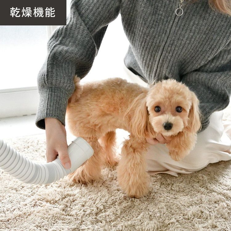 復元 ドライヤー