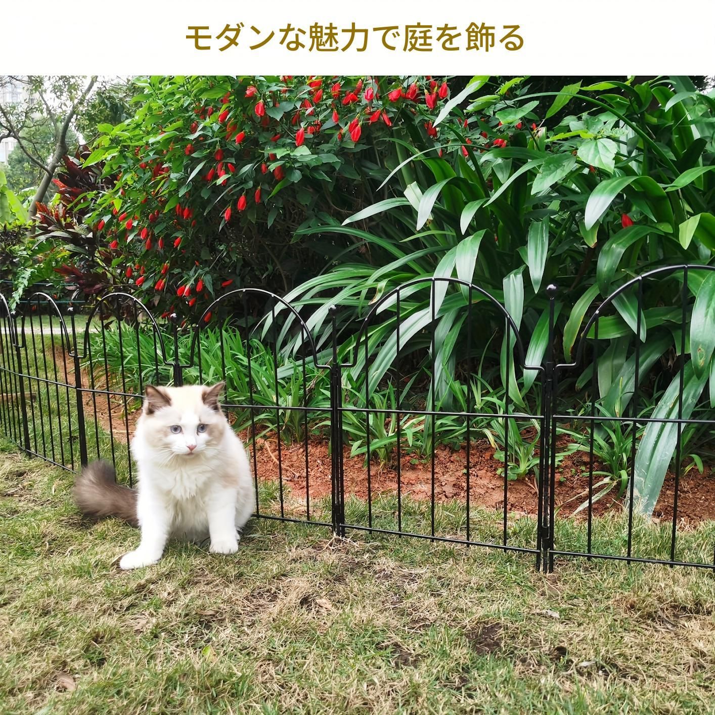 おしゃれ