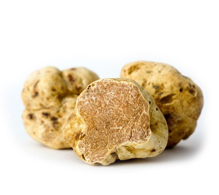 新シーズンスタート記念 20％OFF 直輸入 白トリュフ 量り売り 56 2g 冷凍