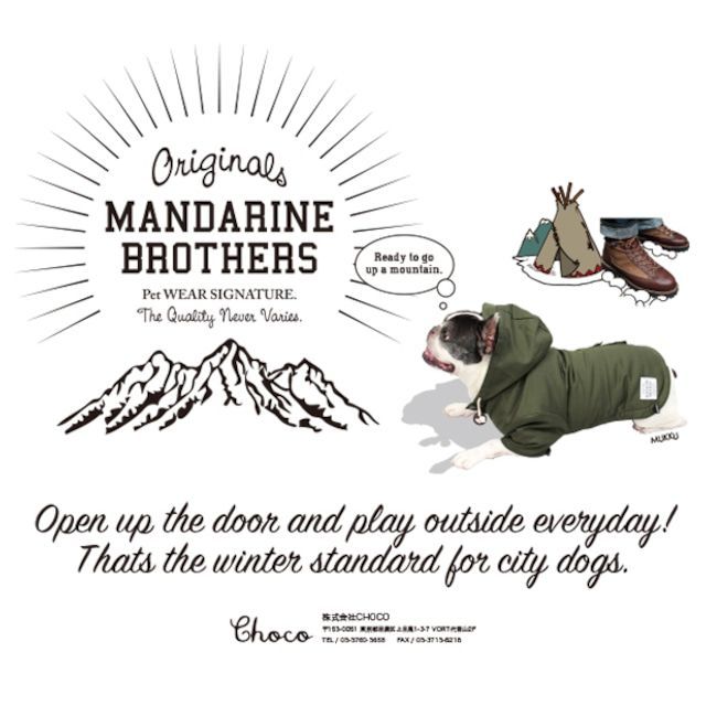 リニューアルの為 MANDARINE