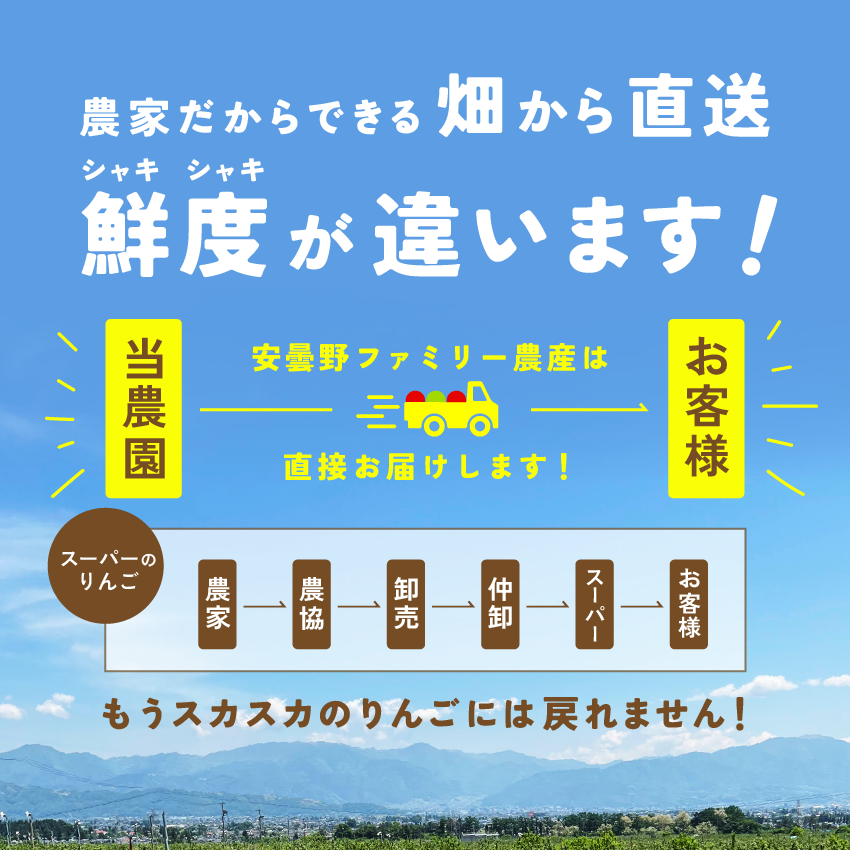 発送中「シナノスイート3キロ箱A品B品ミックス」農林水産大臣賞 りんご 長野県産 安曇野 信州産