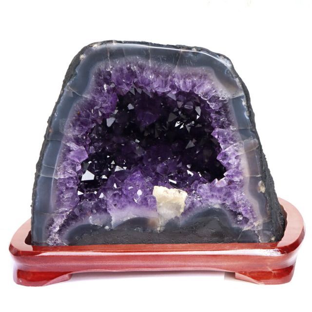 イエジー・スコリモフスキDVD-BOX 廃盤 イエジー