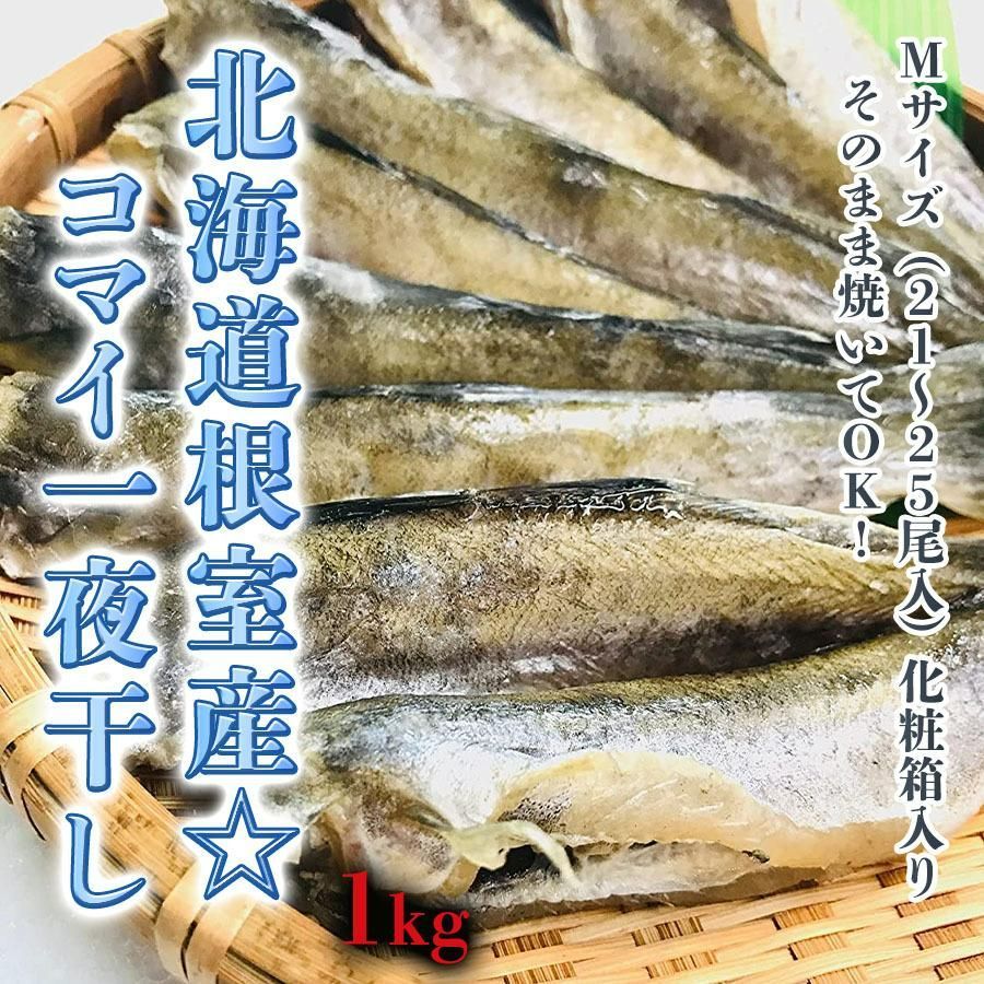 kakiya【北海道 根室産☆ コマイ 一夜干し 1kg】Ｍsサイズ  化粧箱入り 北の美味しさ！満天☆青空レストランでも紹介されました！ 氷下魚 こまい 干物