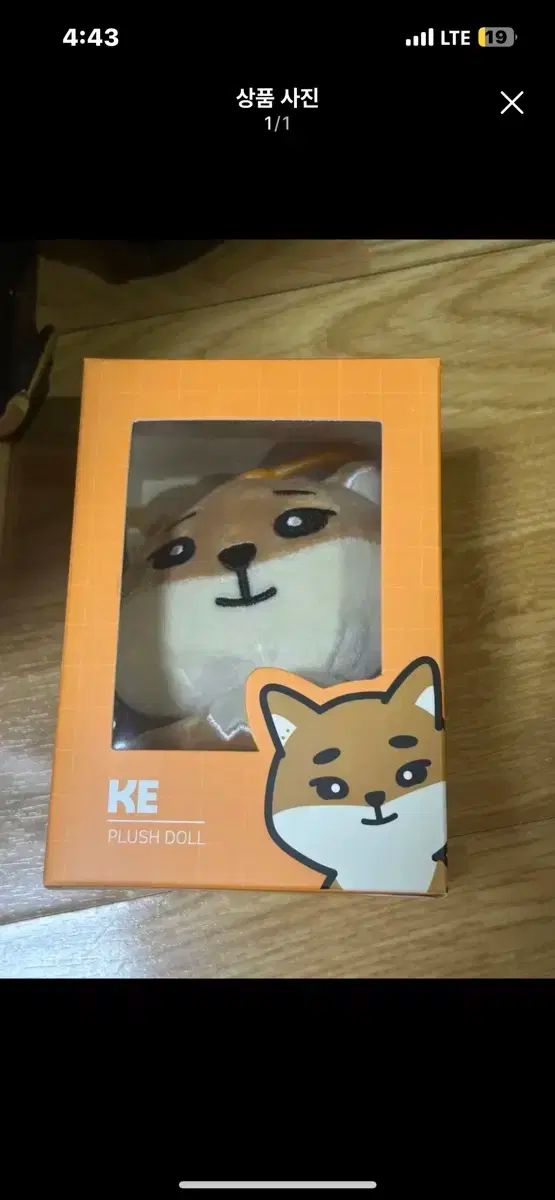 未開封 新品 24 ケー ヨンケイ(Young K) DAY6(デイシックス