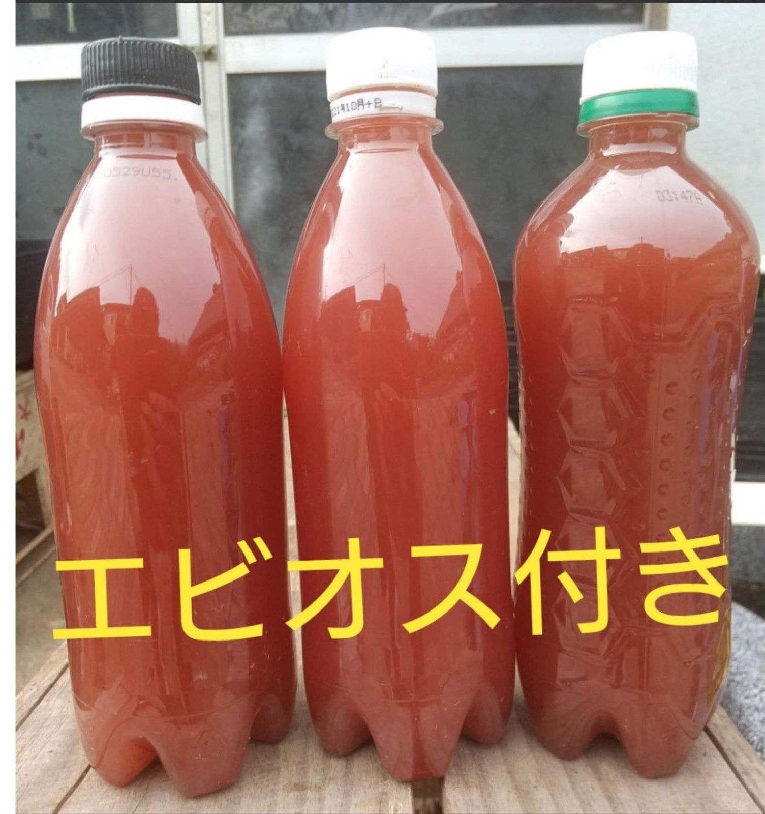 PSB (光合成細菌)1500ml グリーンウォーター ゾウリムシ メダカ 果てしない