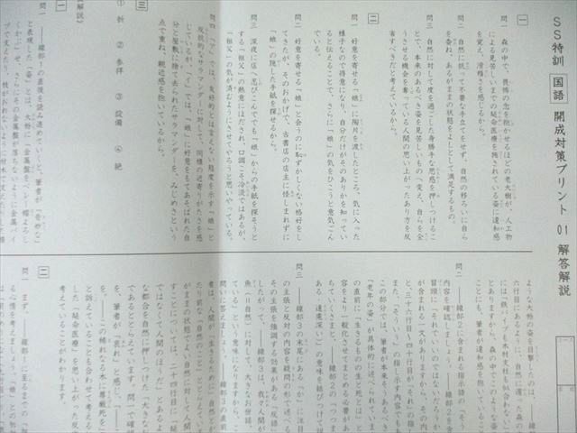 SAPIX 小6 サピックス SS特訓 開成対策プリント01～14 通年