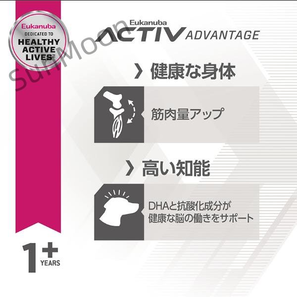 スモール フィットボディ