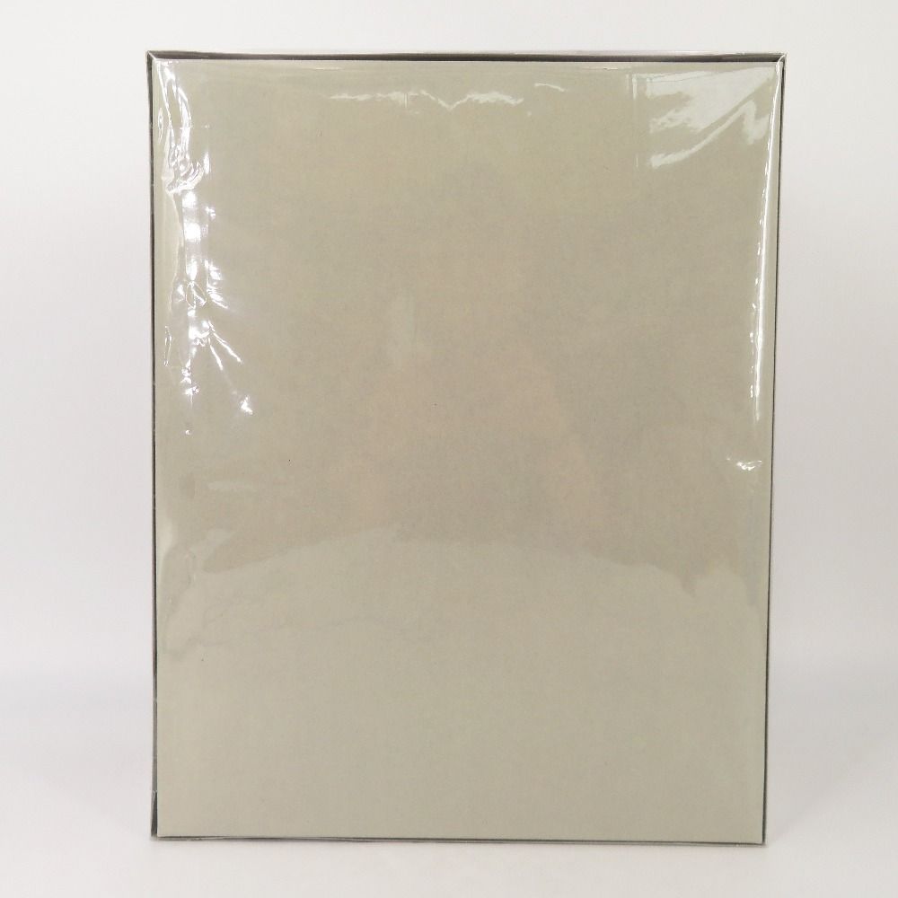 1 100 MG MSN-06S-2 シナンジュ スタイン ナラティブ Ver. Ver.Ka 機動戦士ガンダムNT バンダイスピリッツ プラモデル 未組立品