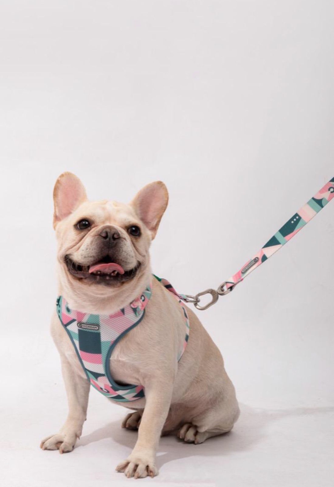 犬用ハーネス•リードセット 通気 H型 脱走防止 オシャレ かわいい 安心高品質